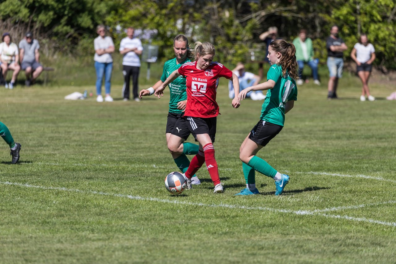 Bild 383 - F SG NieBar - IF Stjernen Flensborg : Ergebnis: 2:0